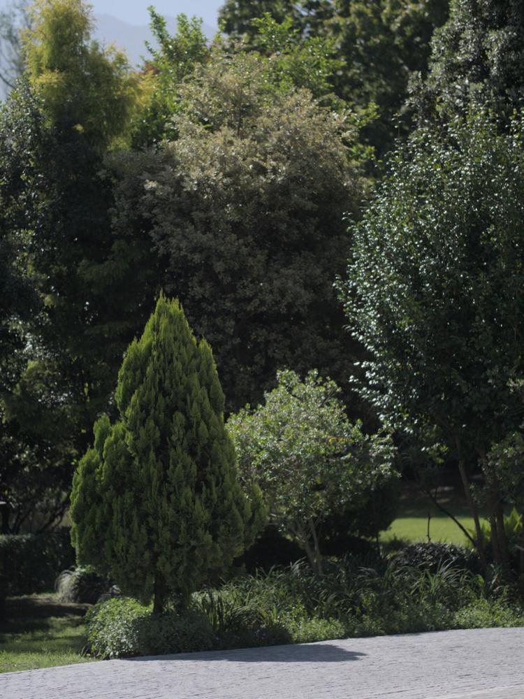 Arbour1 Guesthouse George Εξωτερικό φωτογραφία
